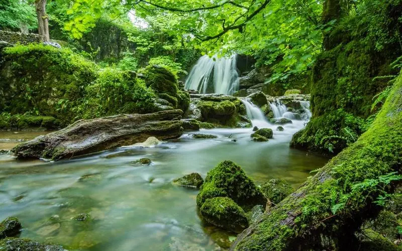 可靠性高性能精密